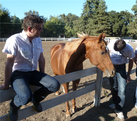 Horseman and Leadership