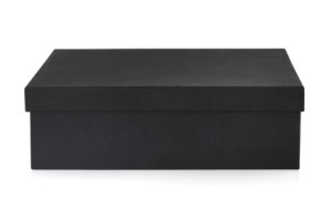 Black Box zur Beschreibung von System-Anforderungen (Ssytem Requirements Specifications)