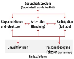 ICF: Das Modell