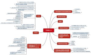 Bild zeigt Mindmap mit der Kapitelstruktur IEC 60601-1-2