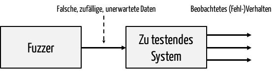Fuzz-Testing von Systemen mit zufälligen Daten