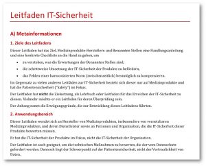 Leitfaden IT-Sicherheit