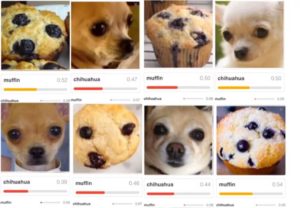 Input-Daten, die nur zufällig wie ein bestimmtes Muster aussehen. Hier am Beispiel eines Chihuahuas und eines Muffins (zum Vergrößern klicken)