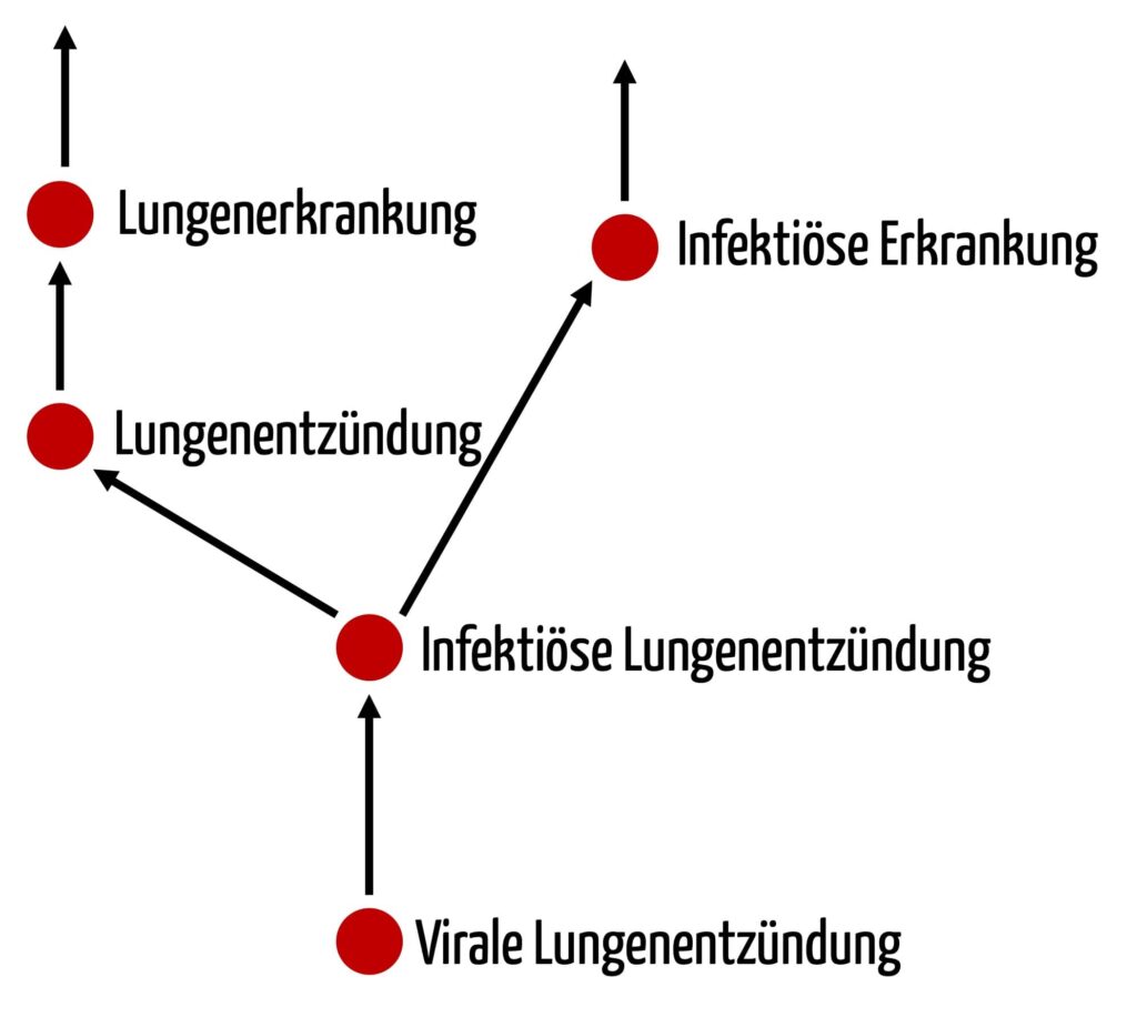 Grafik, die zeigt, dass eine Definition ggf. mehrere Gattungsbegriffe benötigt.