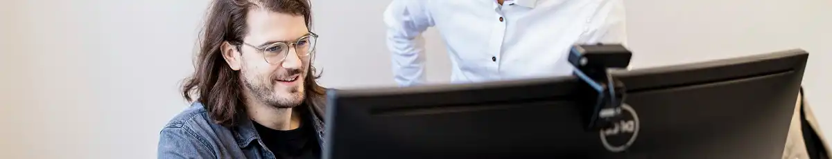 Two Colleagues Working on Computer in the Office