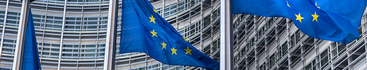 EU-Flaggen vor einem Gebäude